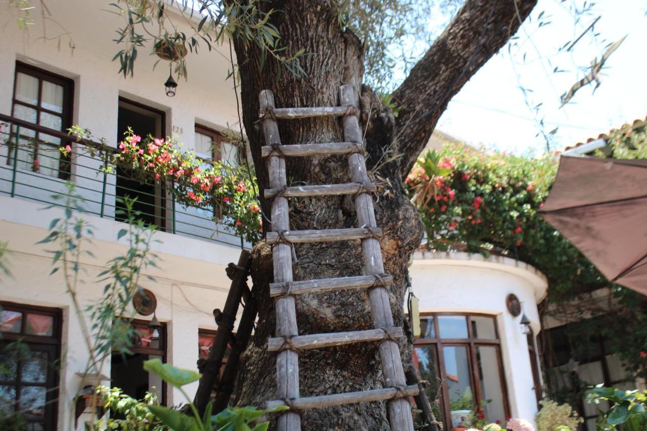 Hostal Viejo Olivo Sucre Luaran gambar